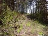 0 Nelson Road - Photo 5