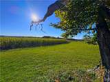 Graffenburg Road - Photo 23