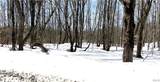  Town Line Road - Photo 6