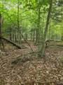  Woodland Drive - Photo 10