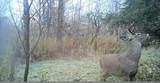 0 W End Avenue - Photo 11