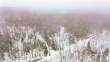 1715 Olin Road - Photo 4
