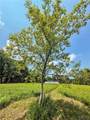  Syossett Drive - Photo 26