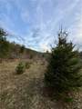 166 Springer Road - Photo 10