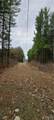  Sweet Point Rd - Photo 4