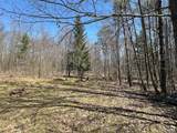 4319 Steenrod Road - Photo 24