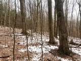 4319 Steenrod Road - Photo 29