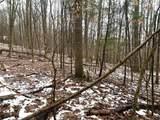 4319 Steenrod Road - Photo 33