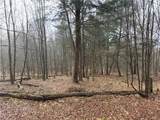  Solitude Forest Drive - Photo 1