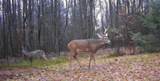  Akins Road - Photo 30