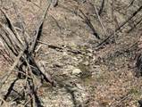 5831 Burt Hill Road - Photo 21