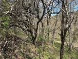 3838 Union Valley Road - Photo 7