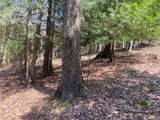 3827 Vandermark Road - Photo 36