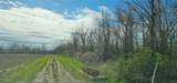 7500 County Road 131 - Photo 13