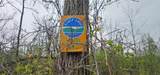 7500 County Road 131 - Photo 14