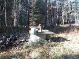 00X Buck Lake Road - Photo 24