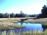 00X Buck Lake Road - Photo 3