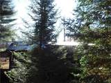 00X Buck Lake Road - Photo 40