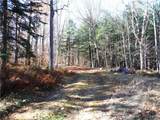 00X Buck Lake Road - Photo 43