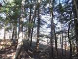 00X Buck Lake Road - Photo 45