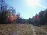 00X Buck Lake Road - Photo 49