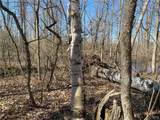 0 Spile Bridge Road - Photo 19