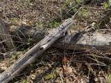 0 Spile Bridge Road - Photo 23
