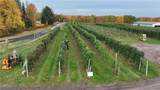 5630 Norris & Rt 104 Road - Photo 4