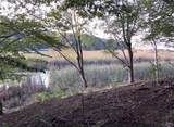 15113 Creek Road - Photo 8