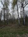 0 Farney Pit Rd - Photo 5