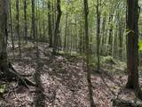 774 Bent Dipper Road - Photo 33