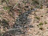  Harris Road - Photo 21