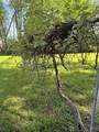 5854 Lake Road - Photo 34