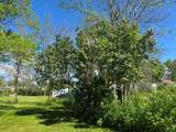 34699 Bubba Lane - Photo 13