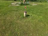 34699 Bubba Lane - Photo 14