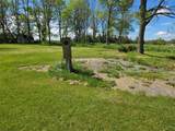 34699 Bubba Lane - Photo 16