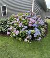 8875 Shellman Drive - Photo 27