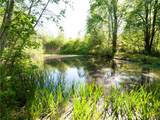 0 Goose Point Road - Photo 13