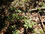  Bull Hill Road - Photo 5