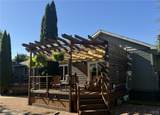 3 Clarence Avenue - Photo 32