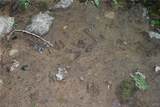 176 Ladd Road - Photo 25