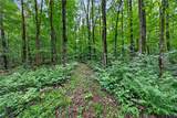 11 Beaver Dam Brook Road - Photo 30
