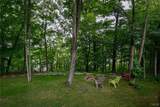 41713 Clear Lake Road - Photo 3