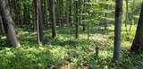 1252 North Road - Photo 46