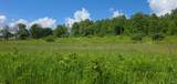 1252 North Road - Photo 47