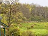 173 Lidell Road - Photo 41