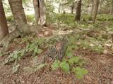 1381 South Road - Photo 15