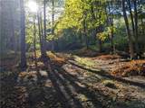 5303 Onondaga Road - Photo 47