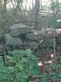 5337 Kasson Road - Photo 4
