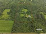 4221 Dineen Road - Photo 3